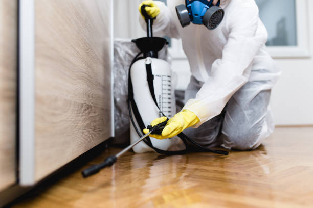 Best Termite Control Services  in San Pablo, CA