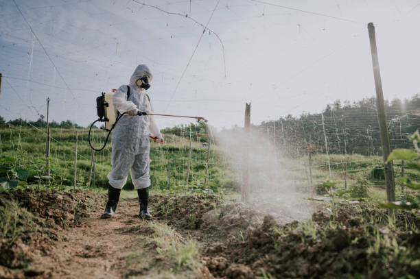 Best Best Pest Control Companies  in San Pablo, CA