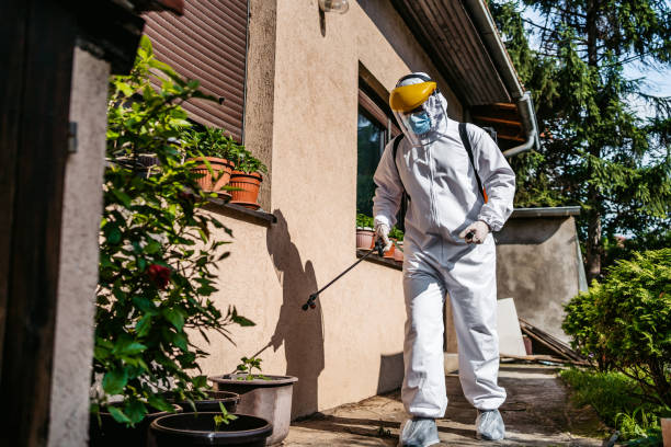 Best Affordable Pest Control Services  in San Pablo, CA