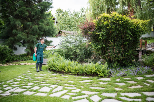 Best Commercial Pest Control Services  in San Pablo, CA