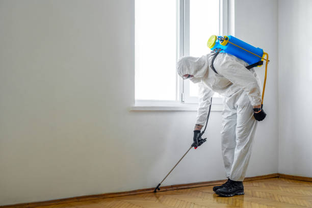 San Pablo, CA Pest Control Company