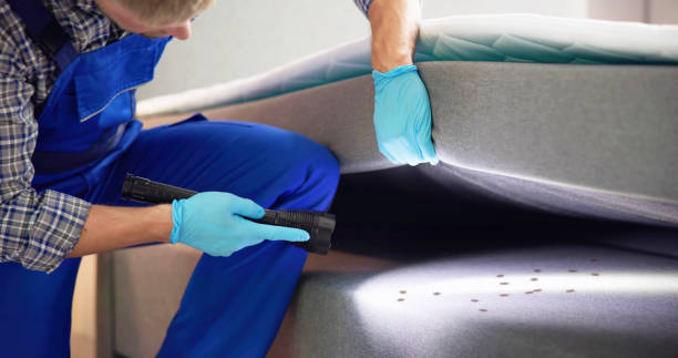 Best Best Pest Control Companies  in San Pablo, CA