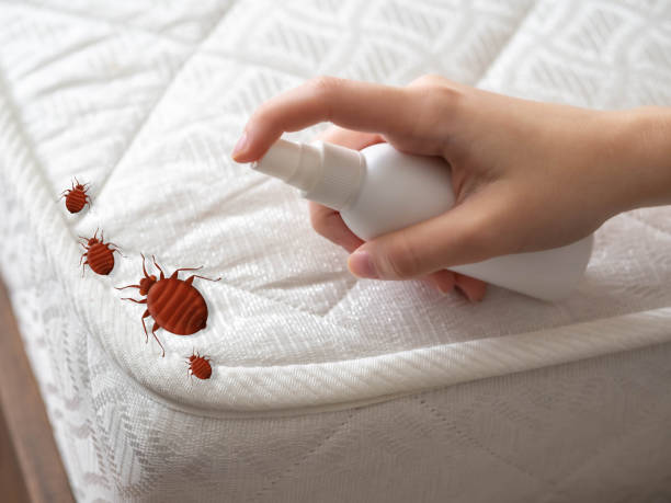 Best Pest Control Near Me  in San Pablo, CA
